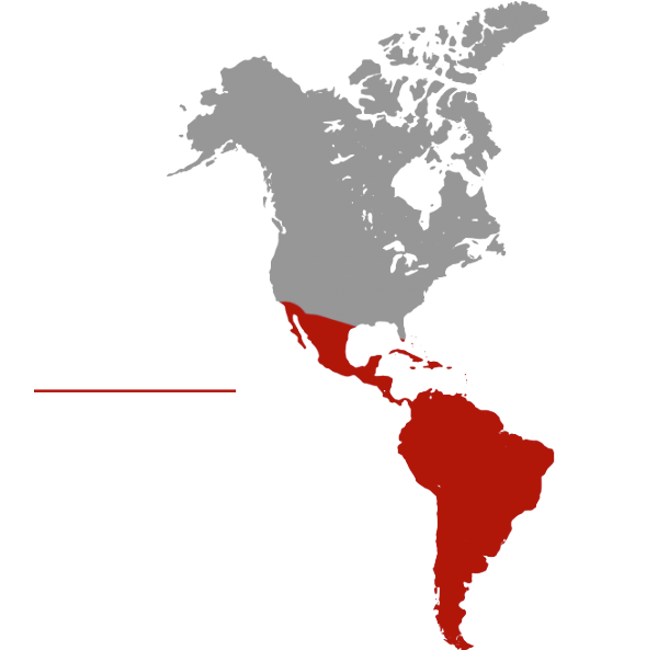 mapa-latinoamerica
